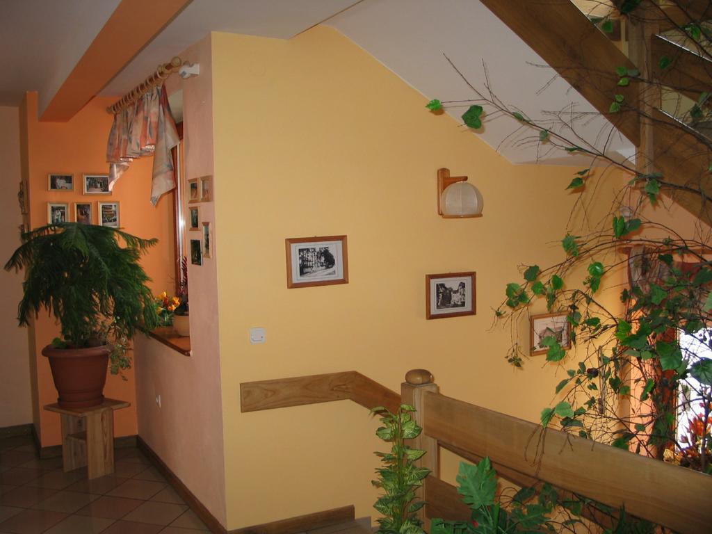 Pensjonat Lotos Krynica Morska Esterno foto